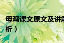 母鸡课文原文及讲解（母鸡课文原文及段落解析）