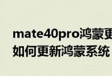 mate40pro鸿蒙更新只有3g（华为mate40如何更新鸿蒙系统）