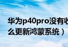 华为p40pro没有收到鸿蒙更新（华为p40怎么更新鸿蒙系统）