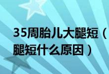 35周胎儿大腿短（怀孕35周胎儿头大肚子大腿短什么原因）