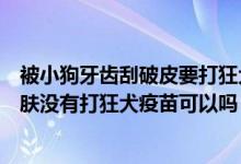 被小狗牙齿刮破皮要打狂犬疫苗吗（被小狗的牙齿刮伤了皮肤没有打狂犬疫苗可以吗）