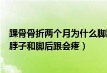 踝骨骨折两个月为什么脚跟肉会疼（左脚踝骨骨折为什么脚脖子和脚后跟会疼）