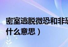 密室逃脱微恐和非恐啥意思（密室逃脱非恐是什么意思）