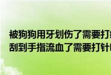 被狗狗用牙划伤了需要打疫苗吗（被注射过疫苗的狗狗牙齿刮到手指流血了需要打针吗）