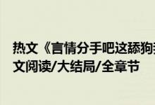 热文《言情分手吧这舔狗我不当了苏浔傅清时》红马甲开全文阅读/大结局/全章节