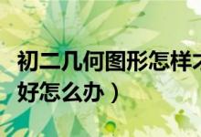 初二几何图形怎样才能学得好（初二几何学不好怎么办）