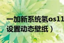 一加新系统氢os11动态壁纸（一加9pro怎么设置动态壁纸）