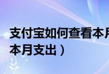 支付宝如何查看本月总支出（支付宝怎么查看本月支出）