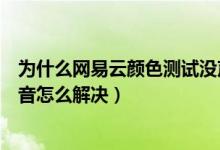 为什么网易云颜色测试没声音（网易云音乐颜色测试没有声音怎么解决）