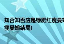 知否知否应是绿肥红瘦曼娘第几集下线(知否知否应是绿肥红瘦曼娘结局)