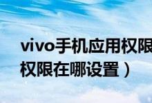 vivo手机应用权限在哪设置（vivo手机应用权限在哪设置）