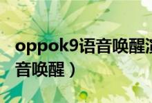 oppok9语音唤醒演示（oppok9怎么开启语音唤醒）