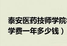 泰安医药技师学院学费（2022泰安技师学院学费一年多少钱）