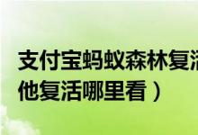 支付宝蚂蚁森林复活能量（支付宝蚂蚁森林帮他复活哪里看）