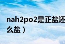 nah2po2是正盐还是酸式盐（nah2po2是什么盐）