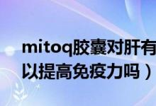 mitoq胶囊对肝有害吗（mitoq经典胶囊可以提高免疫力吗）