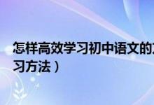 怎样高效学习初中语文的方法详解（初中语文有什么高效学习方法）