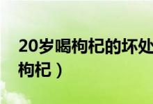 20岁喝枸杞的坏处（20岁的年轻人能不能吃枸杞）