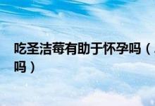 吃圣洁莓有助于怀孕吗（2年没怀孕吃圣洁莓怀孕了 是真的吗）