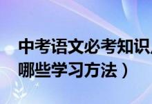 中考语文必考知识点2021讲解（中考语文有哪些学习方法）