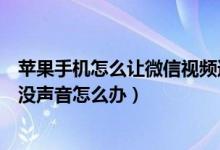 苹果手机怎么让微信视频通话没声（苹果手机微信视频通话没声音怎么办）