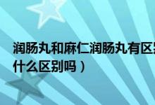 润肠丸和麻仁润肠丸有区别吗（五仁润肠丸和麻仁润肠丸有什么区别吗）