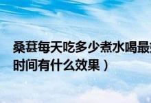 桑葚每天吃多少煮水喝最好（每天喝桑葚水连续坚持两个月时间有什么效果）