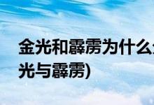 金光和霹雳为什么分家(金光和霹雳的关系金光与霹雳)