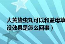 大黄蛰虫丸可以和益母草一起吃吗（大黄蛰虫丸吃了5个月没效果是怎么回事）