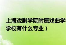 上海戏剧学院附属戏曲学校有哪些（上海戏剧学院附属戏曲学校有什么专业）