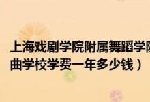 上海戏剧学院附属舞蹈学院学费（2022上海戏剧学院附属戏曲学校学费一年多少钱）