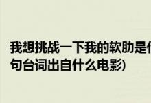 我想挑战一下我的软肋是什么电影(我想挑战一下我的软肋这句台词出自什么电影)