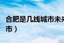 合肥是几线城市未来发展如何（合肥是几线城市）