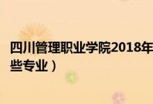 四川管理职业学院2018年新生专业（四川管理职业学院有哪些专业）