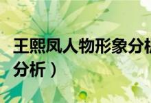 王熙凤人物形象分析一句话（王熙凤人物形象分析）