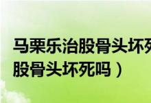 马栗乐治股骨头坏死分享视频（马栗乐够能治股骨头坏死吗）