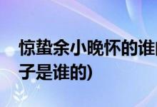 惊蛰余小晚怀的谁的孩子(惊蛰余小晚怀的孩子是谁的)