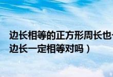 边长相等的正方形周长也一定相等（周长相等的两个正方形边长一定相等对吗）