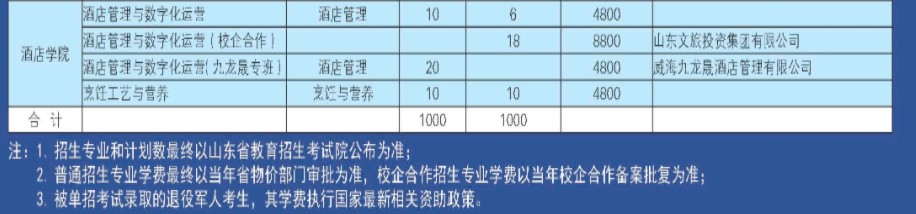 威海职业学院单招和综合评价招生专业及计划