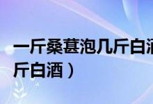 一斤桑葚泡几斤白酒效果最好（一斤桑葚泡几斤白酒）