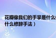 花瓣像我们的手掌是什么修辞手法（花瓣就像我们的手掌是什么修辞手法）