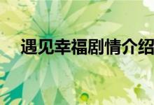 遇见幸福剧情介绍(遇见幸福主要讲什么)