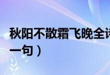 秋阳不散霜飞晚全诗解释（秋阴不散霜飞晚下一句）