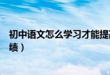 初中语文怎么学习才能提高成绩（初中语文怎么学能提高成绩）