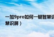 一加9pro如何一键智慧识物去回答（一加9pro怎么开启智慧识屏）