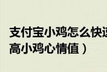 支付宝小鸡怎么快速积攒爱心（支付宝如何提高小鸡心情值）