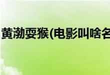 黄渤耍猴(电影叫啥名字,黄渤耍猴电影叫什么)