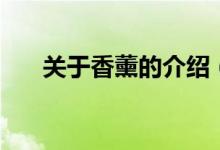 关于香薰的介绍（香薰瓶子不用盖吗）