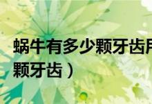 蜗牛有多少颗牙齿用显微镜来看（蜗牛有多少颗牙齿）