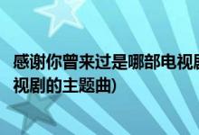 感谢你曾来过是哪部电视剧的主题曲(感谢你曾来过是什么电视剧的主题曲)